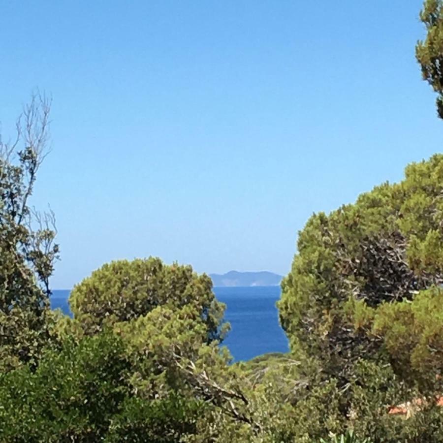 Casa Al Mare Livorno Apartment Куерчанела Екстериор снимка